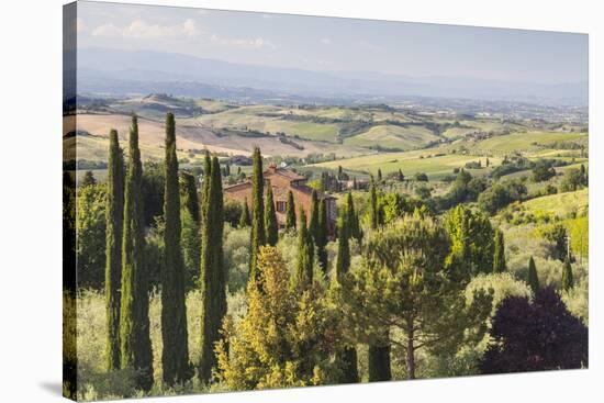 Scenery Near to Montepulciano, Val D'Orcia, UNESCO World Heritage Site, Tuscany, Italy, Europe-Julian Elliott-Stretched Canvas