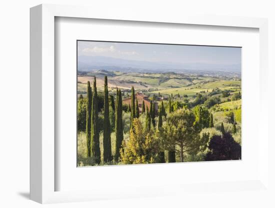Scenery Near to Montepulciano, Val D'Orcia, UNESCO World Heritage Site, Tuscany, Italy, Europe-Julian Elliott-Framed Photographic Print