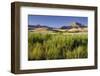 Scenery Near Wanaka, Otago, South Island, New Zealand-Rainer Mirau-Framed Photographic Print