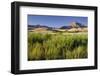 Scenery Near Wanaka, Otago, South Island, New Zealand-Rainer Mirau-Framed Photographic Print