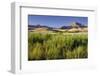 Scenery Near Wanaka, Otago, South Island, New Zealand-Rainer Mirau-Framed Photographic Print