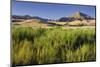 Scenery Near Wanaka, Otago, South Island, New Zealand-Rainer Mirau-Mounted Photographic Print