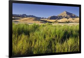 Scenery Near Wanaka, Otago, South Island, New Zealand-Rainer Mirau-Framed Photographic Print