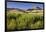 Scenery Near Wanaka, Otago, South Island, New Zealand-Rainer Mirau-Framed Photographic Print