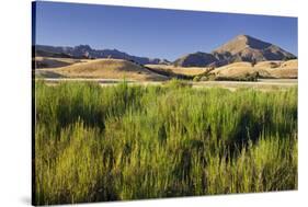 Scenery Near Wanaka, Otago, South Island, New Zealand-Rainer Mirau-Stretched Canvas