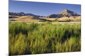 Scenery Near Wanaka, Otago, South Island, New Zealand-Rainer Mirau-Mounted Premium Photographic Print