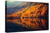 Scenery of High Mountain with Lake and High Peak on A Clear Day-wanderer3-Stretched Canvas