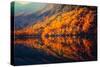 Scenery of High Mountain with Lake and High Peak on A Clear Day-wanderer3-Stretched Canvas