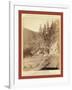 Scenery on Deadwood Road to Sturgis-John C. H. Grabill-Framed Giclee Print