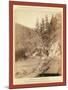 Scenery on Deadwood Road to Sturgis-John C. H. Grabill-Mounted Giclee Print