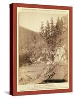 Scenery on Deadwood Road to Sturgis-John C. H. Grabill-Stretched Canvas