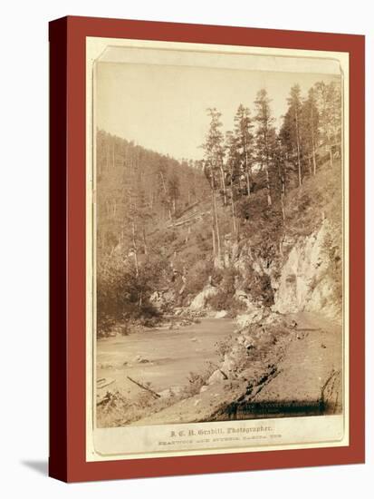 Scenery on Deadwood Road to Sturgis-John C. H. Grabill-Stretched Canvas