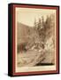 Scenery on Deadwood Road to Sturgis-John C. H. Grabill-Framed Stretched Canvas