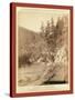 Scenery on Deadwood Road to Sturgis-John C. H. Grabill-Stretched Canvas