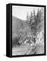 Scenery on the Deadwood Road to Sturgis Photograph - South Dakota-Lantern Press-Framed Stretched Canvas