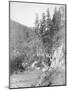 Scenery on the Deadwood Road to Sturgis Photograph - South Dakota-Lantern Press-Mounted Art Print