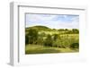 Scenery Vogelsberg, Hessen, Germany-Ernst Wrba-Framed Photographic Print