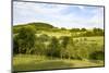 Scenery Vogelsberg, Hessen, Germany-Ernst Wrba-Mounted Photographic Print