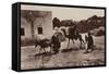 Scenes and Types - Arab Homes-null-Framed Stretched Canvas