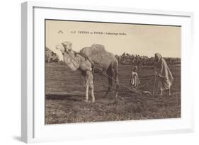 Scenes and Types - Arabic Ploughing-null-Framed Photographic Print