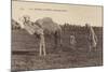 Scenes and Types - Arabic Ploughing-null-Mounted Photographic Print