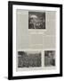 Scenes at Hawarden Castle During the Fete-null-Framed Giclee Print