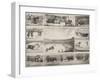 Scènes de tauromachie en Espagne-null-Framed Giclee Print