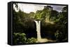 Scenes from around the Big Island of Hawaii-Daniel Kuras-Framed Stretched Canvas