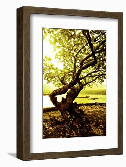 Scenes from around the Big Island of Hawaii-Daniel Kuras-Framed Photographic Print