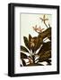 Scenes from around the Big Island of Hawaii-Daniel Kuras-Framed Photographic Print