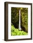 Scenes from around the Big Island of Hawaii-Daniel Kuras-Framed Photographic Print