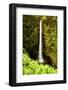 Scenes from around the Big Island of Hawaii-Daniel Kuras-Framed Photographic Print