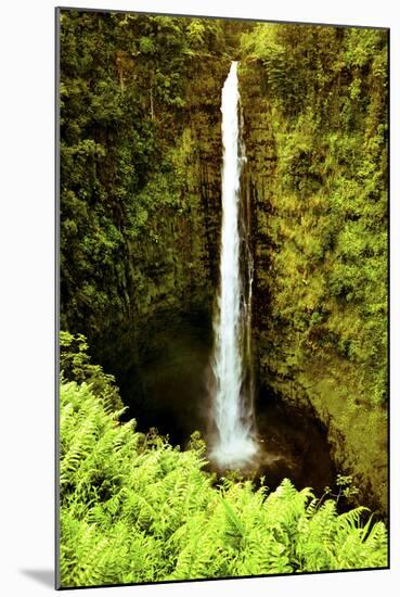 Scenes from around the Big Island of Hawaii-Daniel Kuras-Mounted Photographic Print