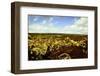 Scenes from around the Big Island of Hawaii-Daniel Kuras-Framed Photographic Print