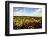 Scenes from around the Big Island of Hawaii-Daniel Kuras-Framed Photographic Print