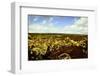 Scenes from around the Big Island of Hawaii-Daniel Kuras-Framed Photographic Print