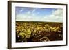 Scenes from around the Big Island of Hawaii-Daniel Kuras-Framed Photographic Print