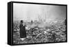 Scenes from Earthquake Stricken Japan-null-Framed Stretched Canvas