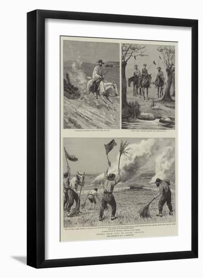 Scenes from Life in South America-null-Framed Giclee Print