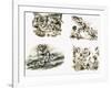 Scenes from Swallows and Amazons by Arthur Ransome-null-Framed Giclee Print