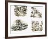 Scenes from Swallows and Amazons by Arthur Ransome-null-Framed Giclee Print