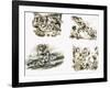 Scenes from Swallows and Amazons by Arthur Ransome-null-Framed Giclee Print