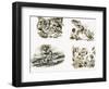 Scenes from Swallows and Amazons by Arthur Ransome-null-Framed Premium Giclee Print