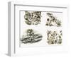 Scenes from Swallows and Amazons by Arthur Ransome-null-Framed Premium Giclee Print