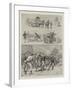 Scenes from the Cattle Show at the Agricultural Hall, Islington-S.t. Dadd-Framed Giclee Print