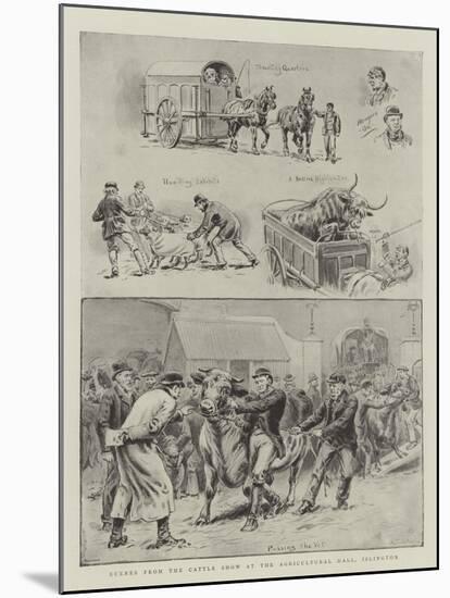 Scenes from the Cattle Show at the Agricultural Hall, Islington-S.t. Dadd-Mounted Giclee Print