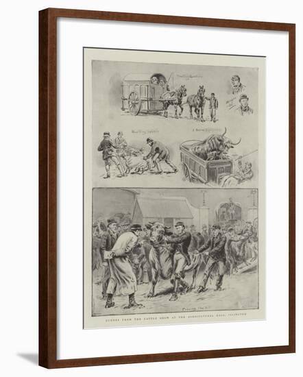 Scenes from the Cattle Show at the Agricultural Hall, Islington-S.t. Dadd-Framed Giclee Print