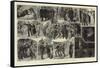 Scenes from the Life of a London Policeman-Robert Barnes-Framed Stretched Canvas