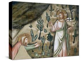 Scenes from the Life of Mary Magdalen: Noli Me Tangere-Pietro Cavallini-Stretched Canvas