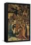 Scenes from the Nativity of Jesus Christ-null-Framed Stretched Canvas